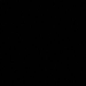 Meet your Posher, Nico